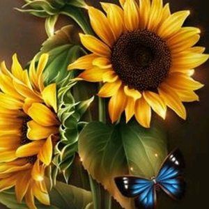 Meet your Posher, Carol